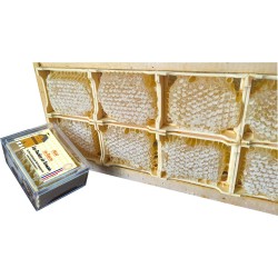 Miel en section petit format