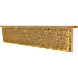 Rayon prestige avec coffret bois