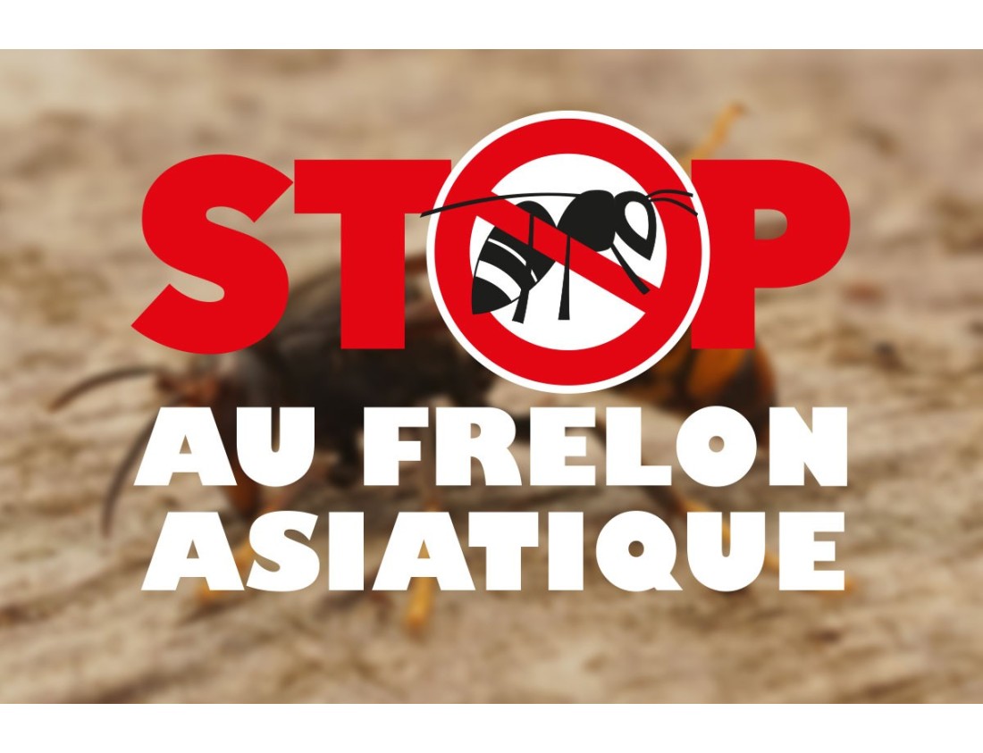 Pièges à Frelons 3D Disponibles – Préparez le Printemps 2026